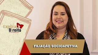 Explica Direito Filiação Socioafetiva  2019 [upl. by Prue]