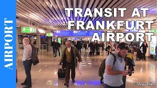 TRANSIT WALK AT FRANKFURT Airport FRA Terminal 1  Connection Flight Transfer Arriving amp Departing [upl. by Stedmann]